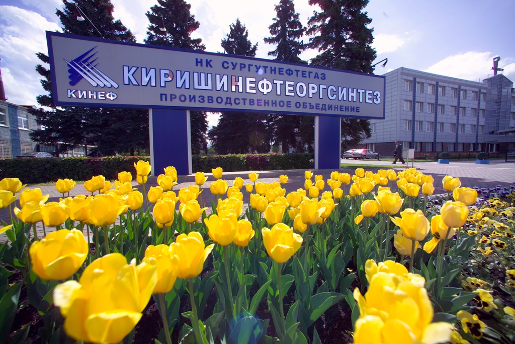 кинеф.jpg кинеф.jpg